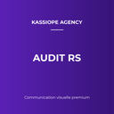Audit Reseaux Sociaux Gratuit